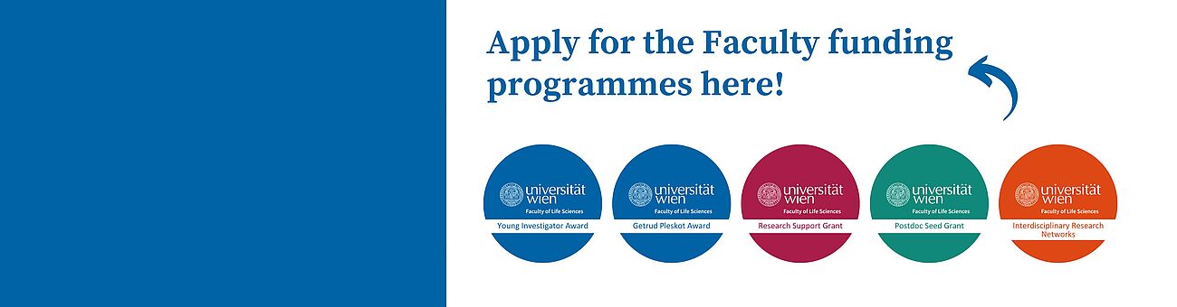 Faculty funding programmes - calls open!